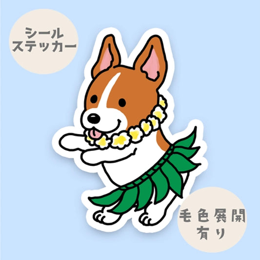 フラ立ち耳ジャックラッセルちゃん。43-16