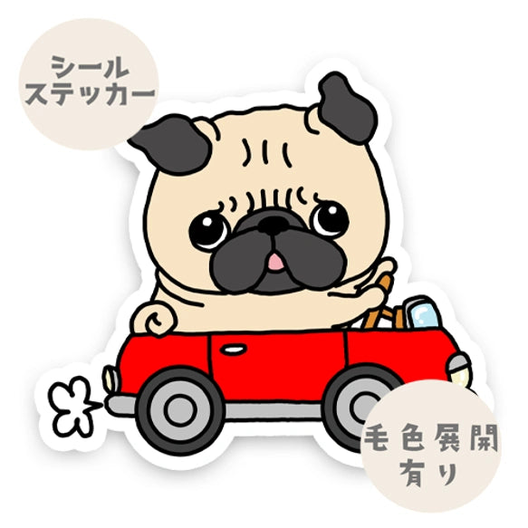 パグちゃんドライブ。76-