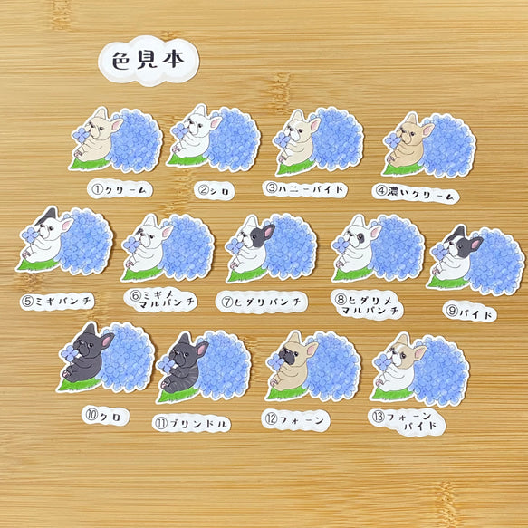 紫陽花の季節のフレブルちゃん。96−44