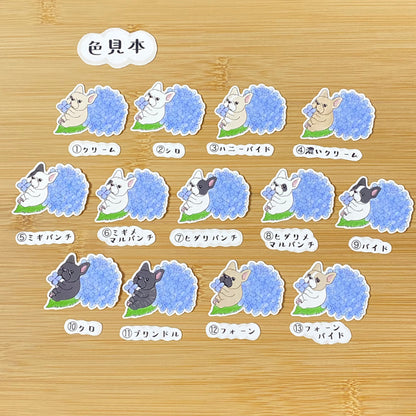 紫陽花の季節のフレブルちゃん。96−44