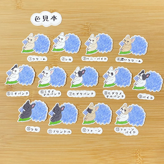 紫陽花の季節のフレブルちゃん。96−44