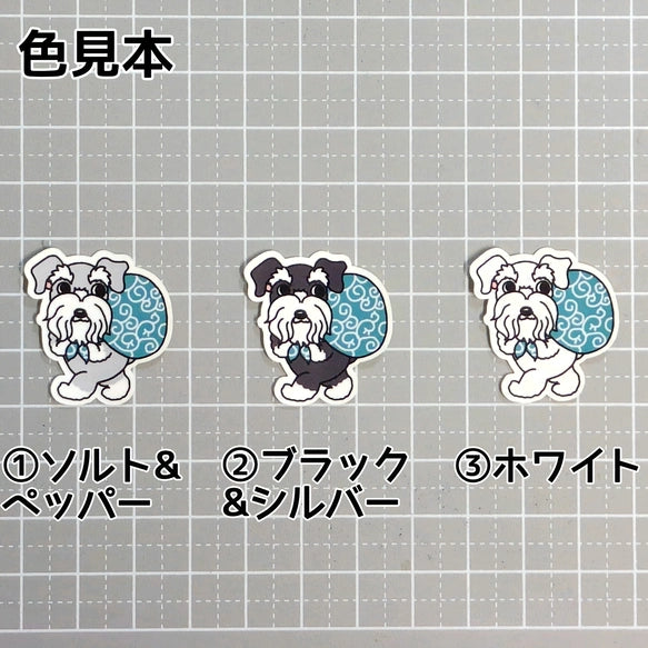 忍び足のシュナウザーちゃん。44-3