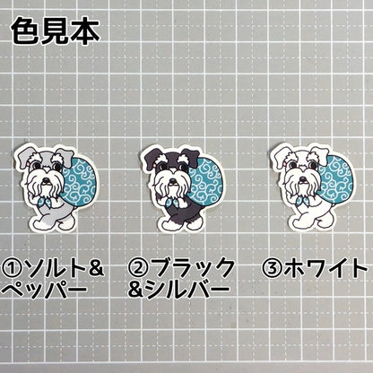 忍び足のシュナウザーちゃん。44-3