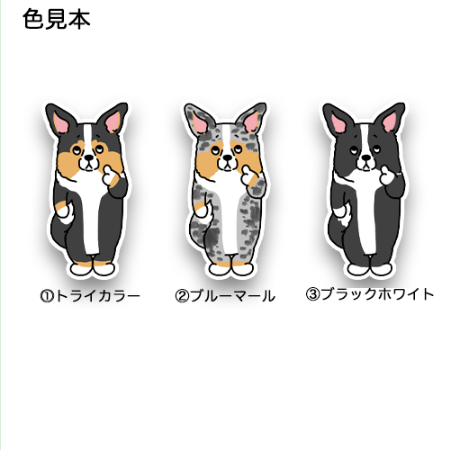 えっとねって考えてるカーディガンちゃん。16-11