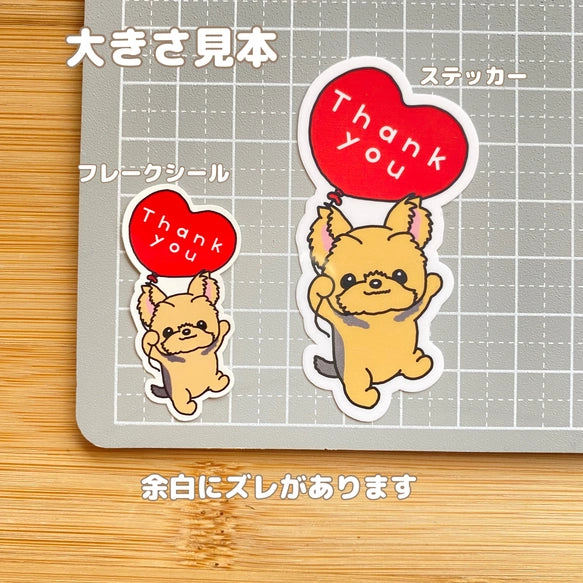 ありがとうの気持ちを伝えたいヨーキーちゃん。114-4