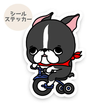 三輪車で走り続けるボストンテリアちゃん。101-
