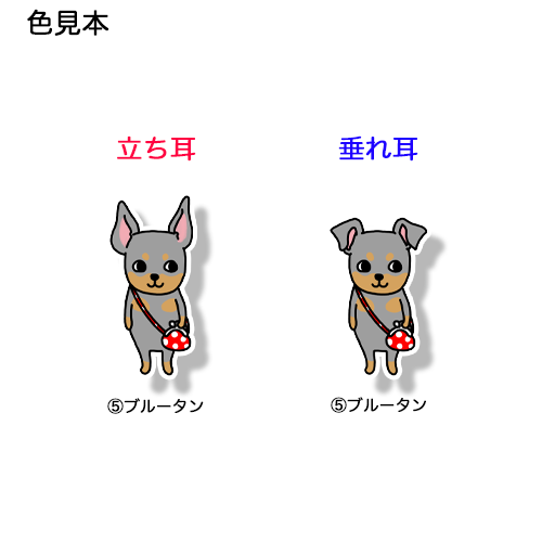 おつかいミニピンちゃん。113-3