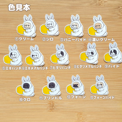 月うさぎのフレブルちゃん。96−331