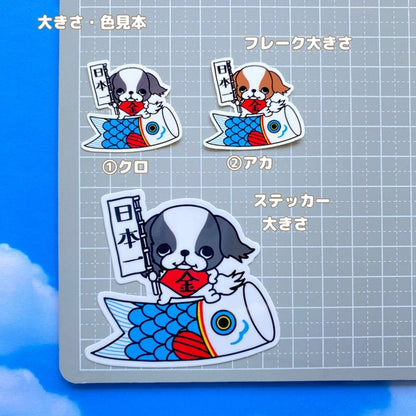 端午の節句の狆ちゃん。66-11