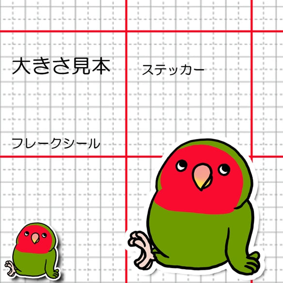 くつろぎコザクラインコちゃん