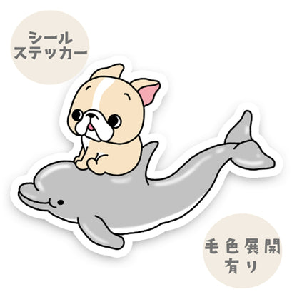 イルカに乗ったフレブルちゃん。96−148