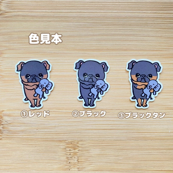 お留守番して待ってるプチブラバンソンちゃん。86-