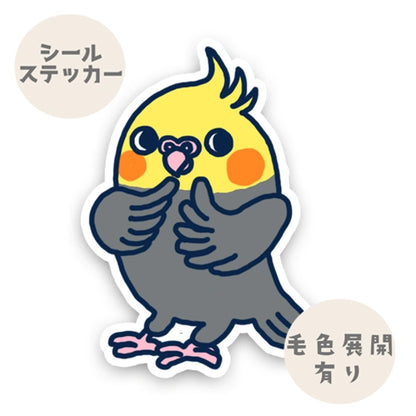 かわいいオカメインコちゃん。