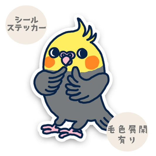 かわいいオカメインコちゃん。