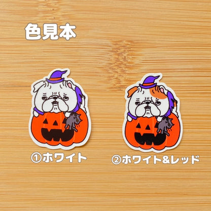 オバケカボチャとブルドッグちゃん。95-