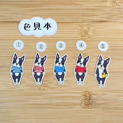 ボストンテリアさん。101-