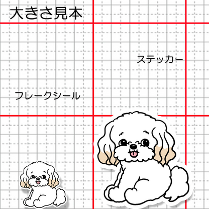 こっちを見てるマルプーちゃん。111-2