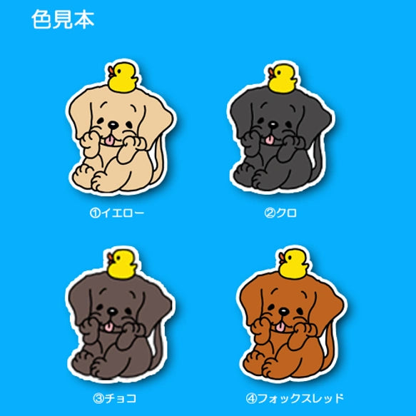 タイクツなラブラドールちゃん。117-10