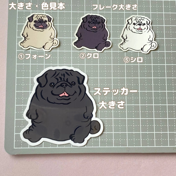 ポテッとパグちゃん。76-
