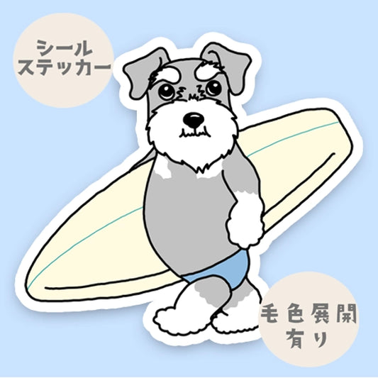 サーファーシュナウザーちゃん。44-24