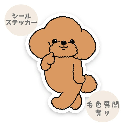 モコモコプードルちゃん。87-