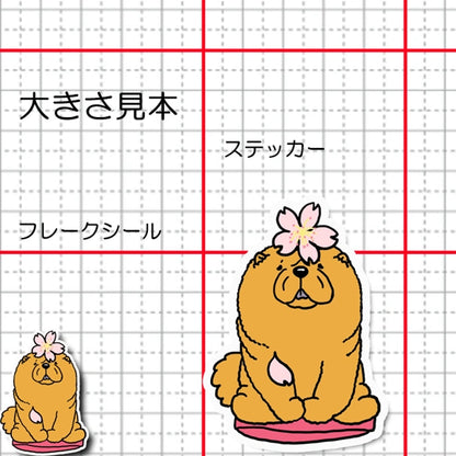 チャウチャウちゃんの春のご挨拶。59-6