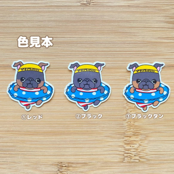 プールに来たプチブラバンソンちゃん。86-
