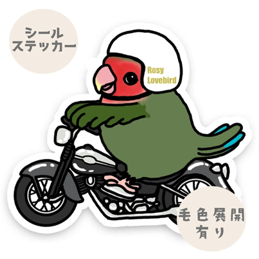 コザクラインコちゃんのツーリング。