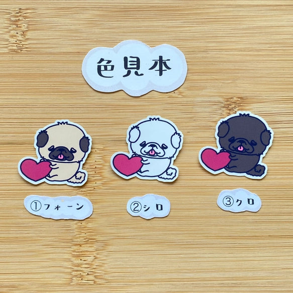 キモチを伝えたいペキニーズちゃん。　97-