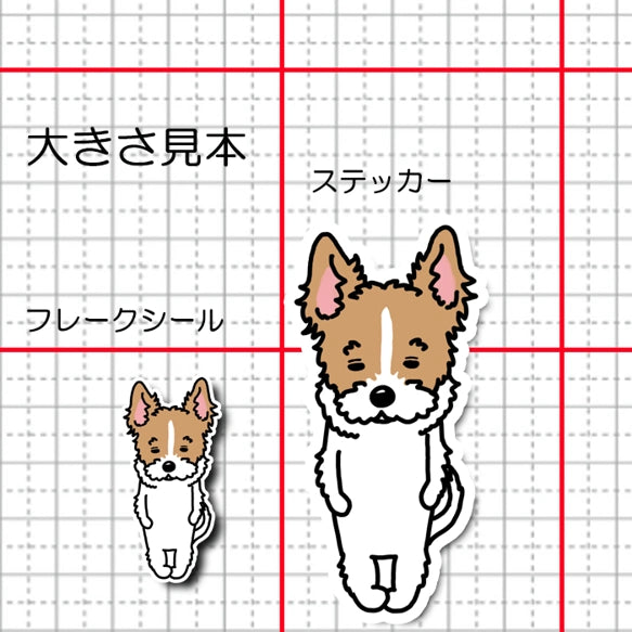 無の立ち耳ジャックラッセルちゃん。43-19