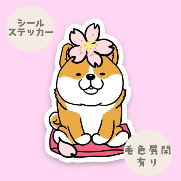 シバちゃんの春のご挨拶。39-12