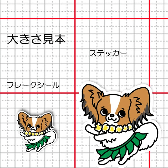 フラパピヨンちゃん。80-