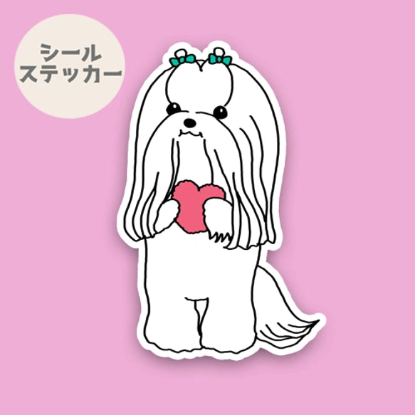 おしゃれかわいいマルチーズちゃん。109-