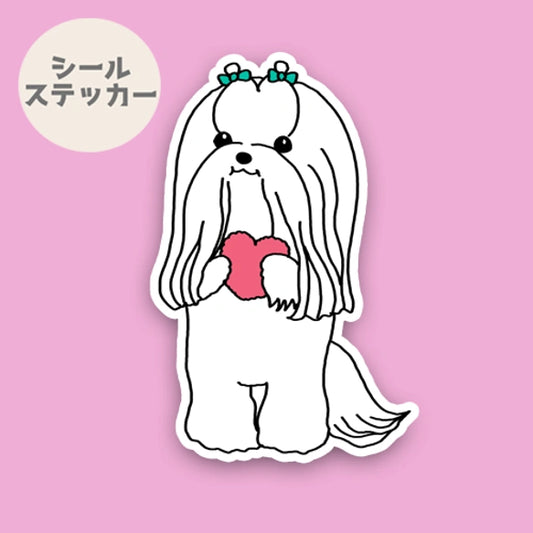 おしゃれかわいいマルチーズちゃん。109-