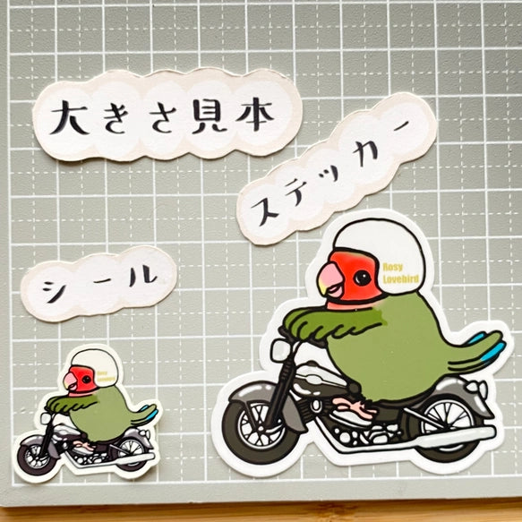 コザクラインコちゃんのツーリング。