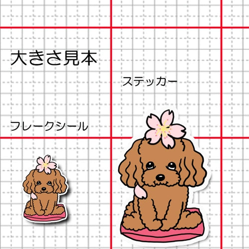 プードルちゃんの春のご挨拶。87-