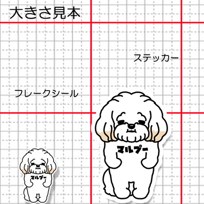 マルプー。111-1