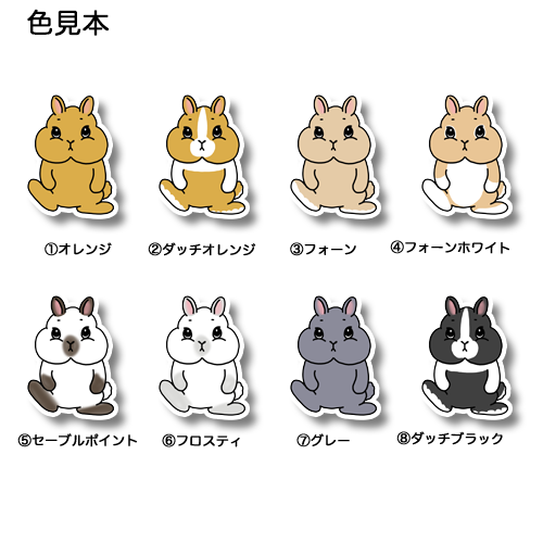 見つめるネザーランドドワーフちゃん。185-3