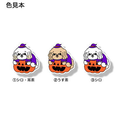 オバケカボチャとマルプーちゃん。111-18