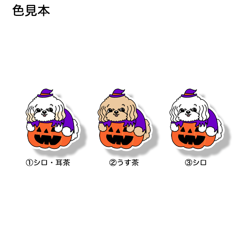 オバケカボチャとマルプーちゃん。111-18