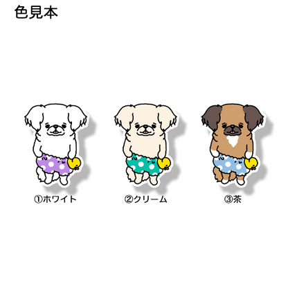 お気に入りのアヒルさんとチワペキちゃん。62-14