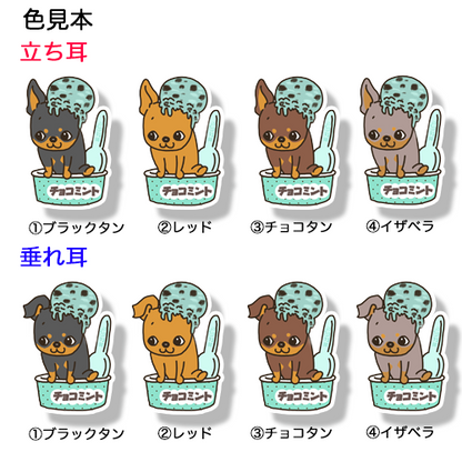 チョコミントアイスからでてきたミニピンちゃん。113-21