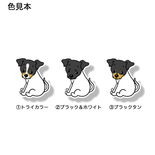 おすわりしてるニホンテリアちゃん。71-3