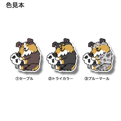 ヒツジちゃんと遊ぶシェルティちゃん。38-11