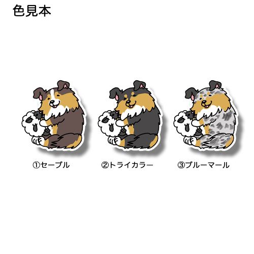 ヒツジちゃんと遊ぶシェルティちゃん。38-11