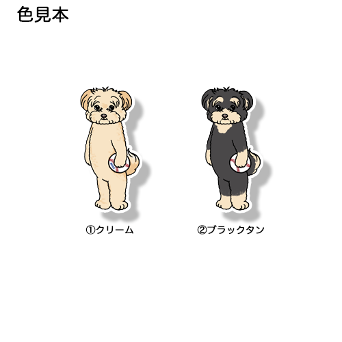 遊んでほしいポメプーちゃん。103-14
