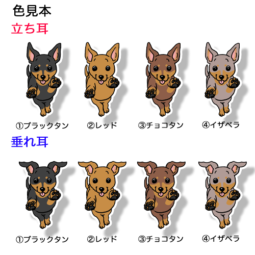 走ってくるミニピンちゃん。113-25