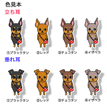 おつかいミニピンちゃん。113-3