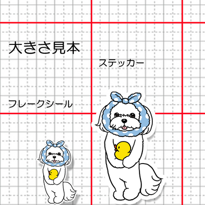 お風呂上がりのマルチーズちゃん。109-25