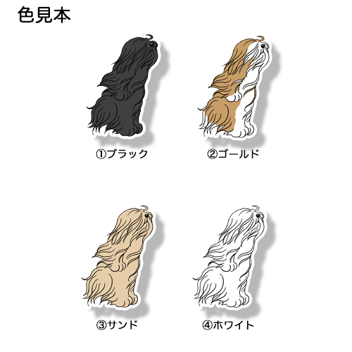 風に吹かれるラサアプソちゃん。115-5